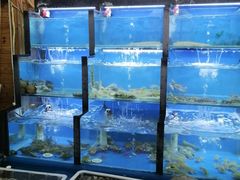 水产区-老东镇啤酒屋海鲜加工·蒸汽海鲜·海鲜烧烤(台东店)