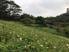 -水濂山水库景点停车场