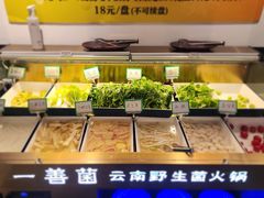 -一善菌·云南菌汤·云南菜(银泰城店)
