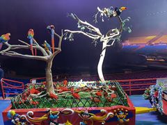 -广州长隆国际大马戏