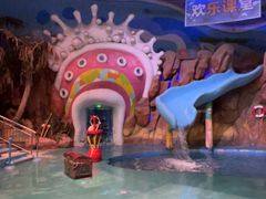 -烟台海昌鲸鲨海洋公园