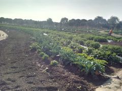 -上膳源有机农场