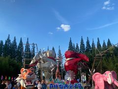 -黄海国家森林公园