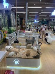 -小象动悟公园(龙湖亦庄天街店)