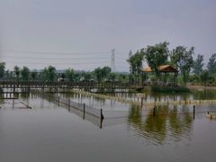 -同銮特种养殖场·龙虾垂钓