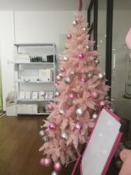 -Lab Season惜辰颜究社