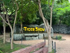 -清迈夜间动物园