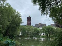 -长兴太湖图影湿地文化园