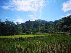 -广州市石门国家森林公园