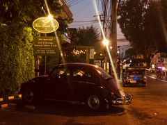 -Fern Forest Cafe