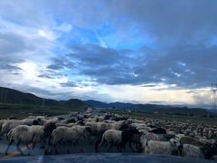 -新疆那拉提国家旅游度假区