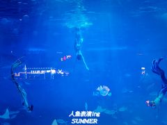 -烟台海昌鲸鲨海洋公园