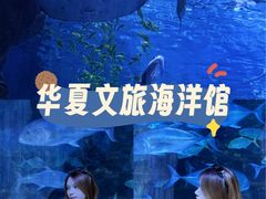 -华夏文旅海洋公园