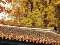 -四川大学(华西校区)