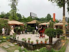 -二荆条·蜀鲜汇城市森林火锅