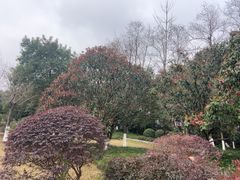 -中国美术学院象山校区-民艺博物馆