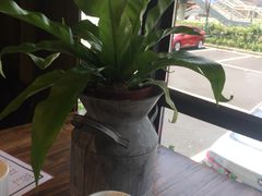 -时光码头民谣公社