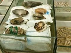 -虾弄弄海派小龙虾·牛羊蝎子火锅