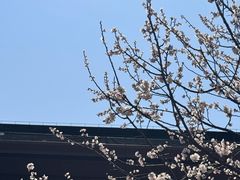 -广富林宰相府酒店·水云间