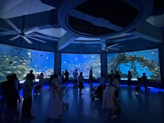 -海合安武汉极地海洋公园