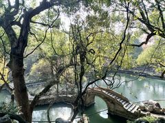 -绮园景区