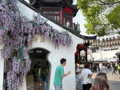 -鑫震源·苏式大虾生煎(山塘街店)