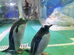 -台州海洋世界
