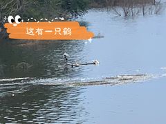 -十三陵水库