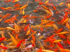 -楠溪江风景名胜区