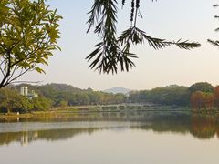 -东莞植物园