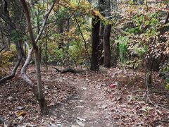 -青龙山国家森林公园
