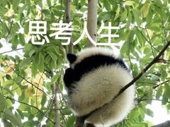 -螺世纪螺蛳粉·桂味小排档(裕德店)