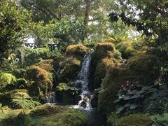 -Chom Cafe and Restaurant