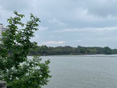 -放鹰台遗址