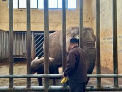 -石家庄市动物园