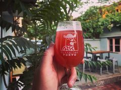 -ZING鲸鱼啤酒(葡萄院店)