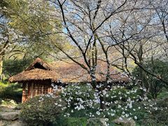 -中国茶叶博物馆(双峰馆区)