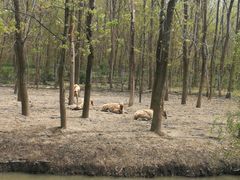 -溱湖国家湿地公园