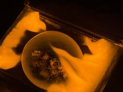 -贰捌零叁精致料理(钱湖店)