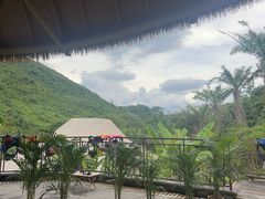 -呀诺达热带雨林