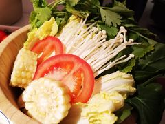 -九鼎轩脆毛肚火锅(三钢里店)