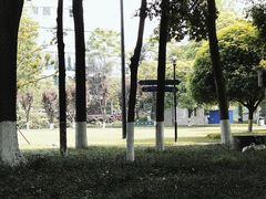 -温江公园