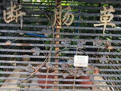 -广州神农草堂中医药博物馆