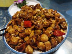 -梁溪河畔·吉府花园(南长街南下塘店)