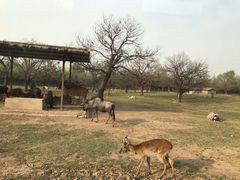 -西安秦岭野生动物园