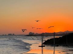 -老虎石海上公园