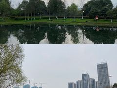 -洋湖国家湿地公园