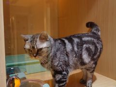 -Pets First伊珊娜洗护·精致美容·家庭式寄养(新会路店)