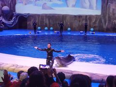 -华夏文旅海洋公园