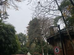 -鹅岭公园瞰胜楼